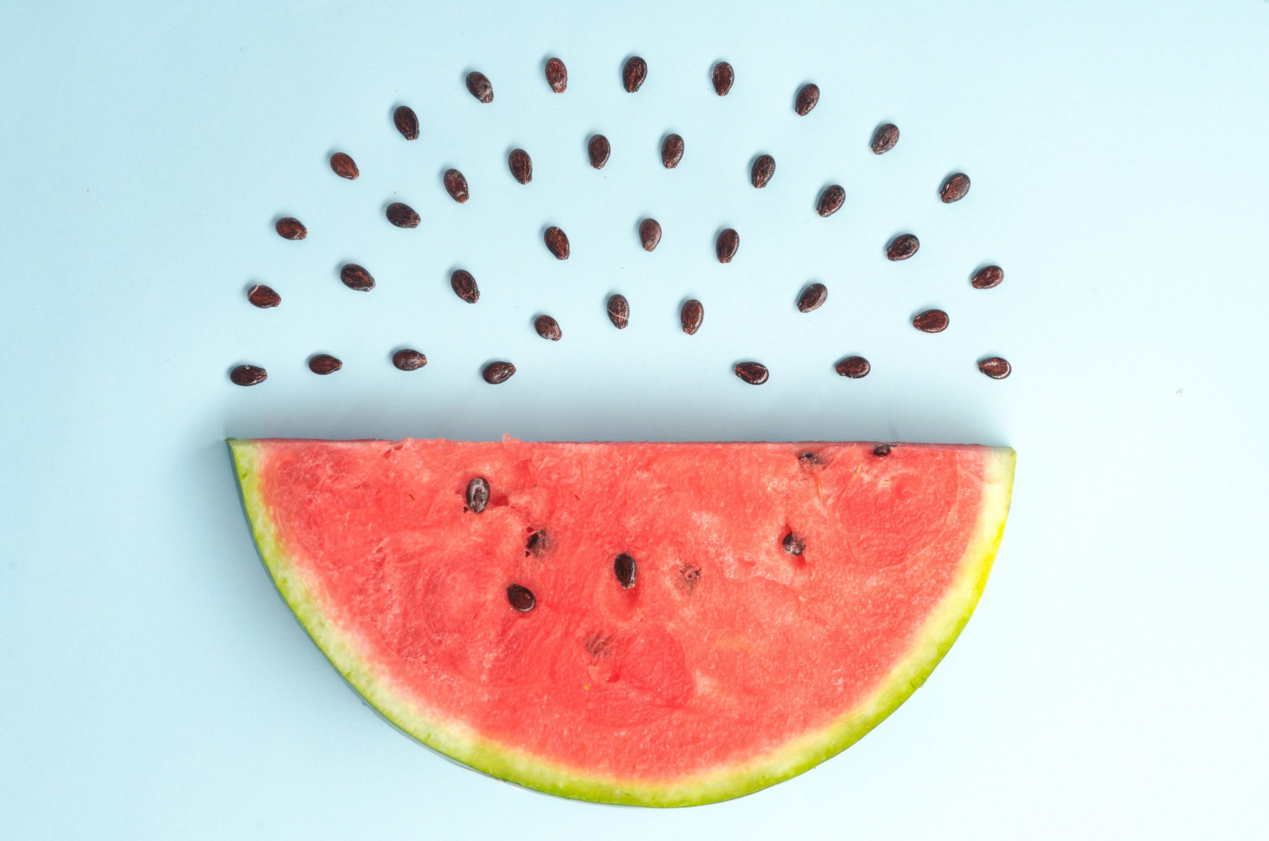 harvesting-watermelon-seeds-for-later-use-tralum